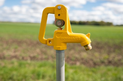 Boshart_YardHydrants-3